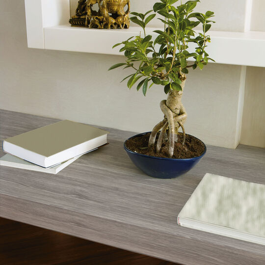 Klebefolie Sheffield Oak perlgrau image number null